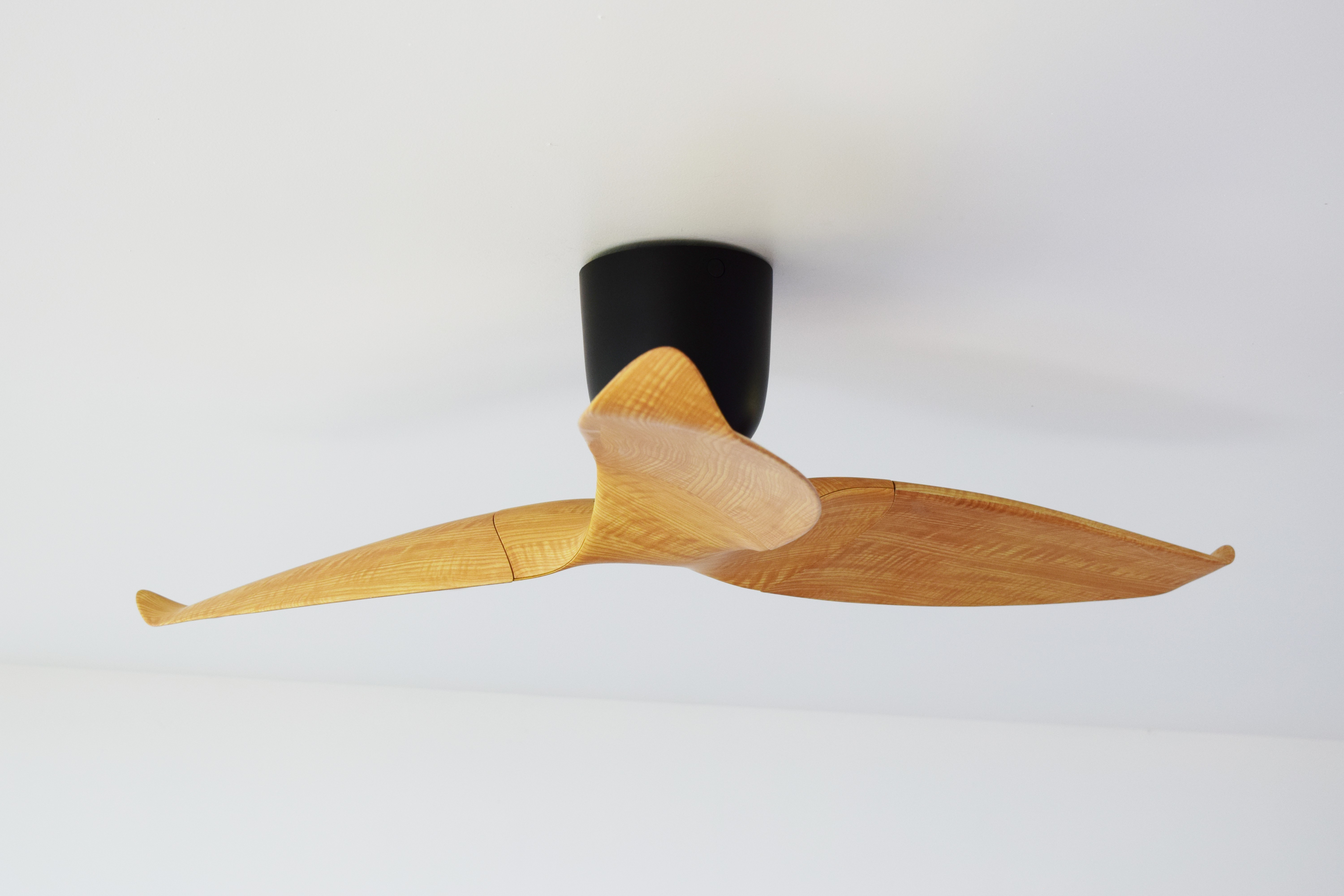 AERATRON AE3-50 Roble
