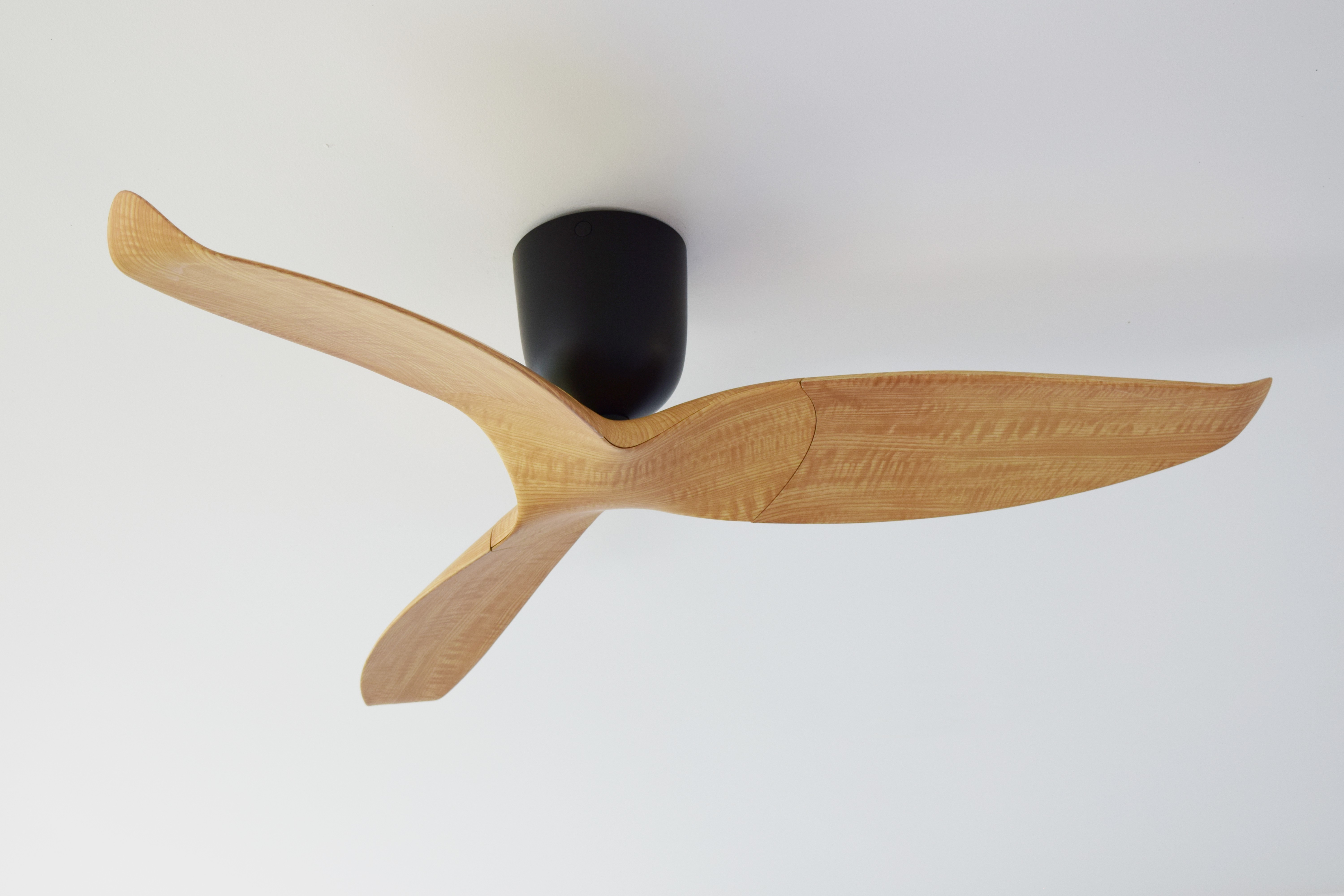 AERATRON AE3-50 Roble