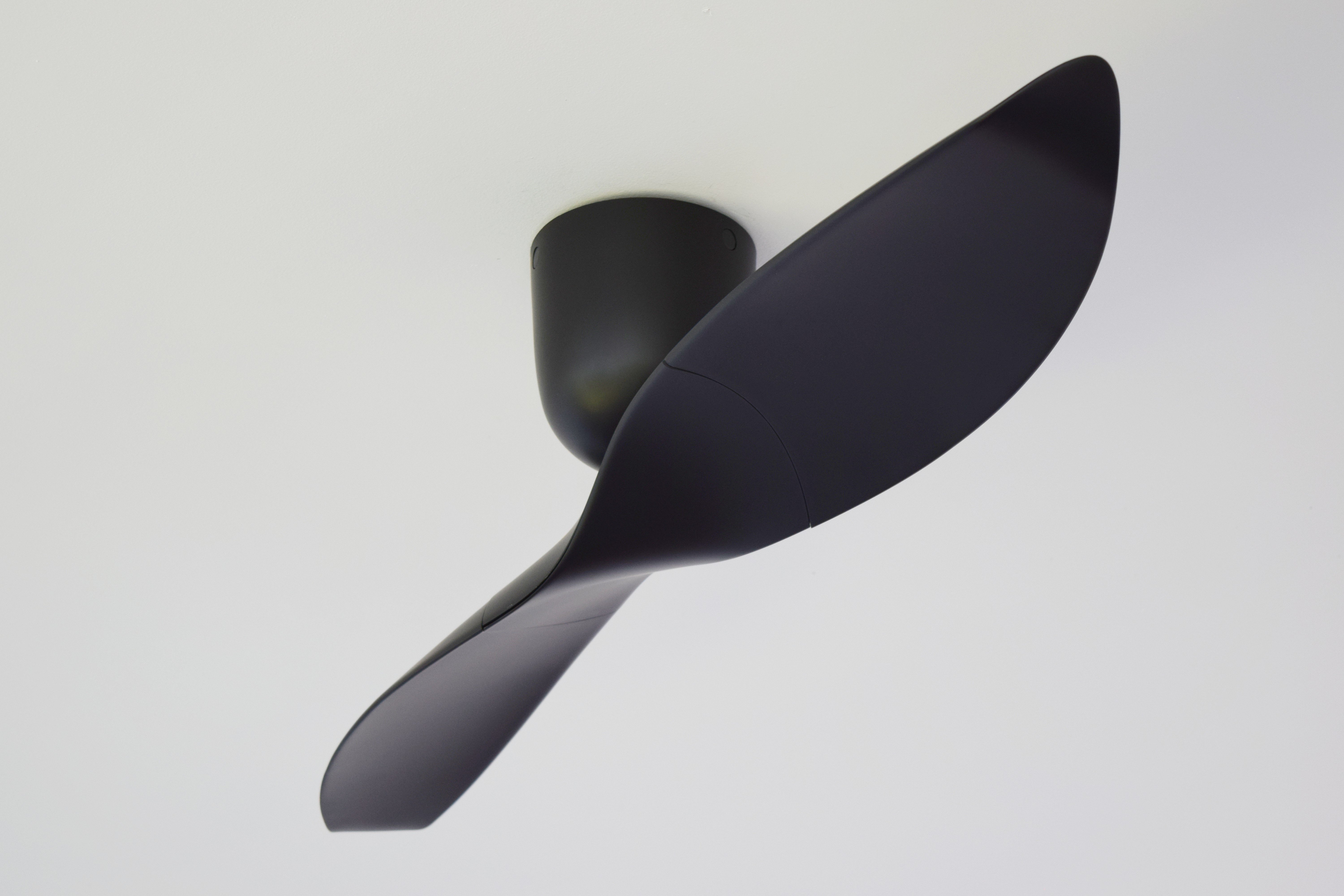 AERATRON AE2-50 NEGRO 00023