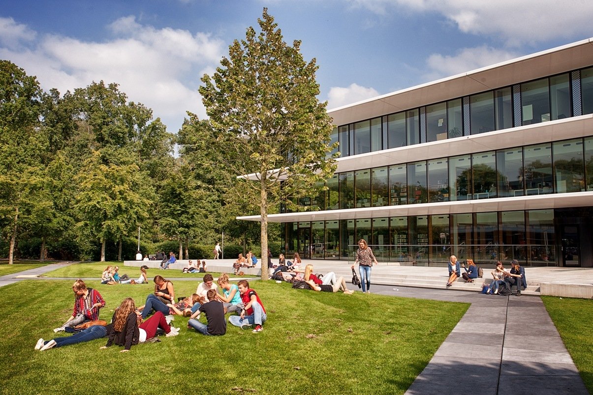 Cognitive Neuroscience (Research Master) (Radboud - Yüksek Lisans) Cognitive Neuroscience (Research Master) (Radboud - Yüksek Lisans)
