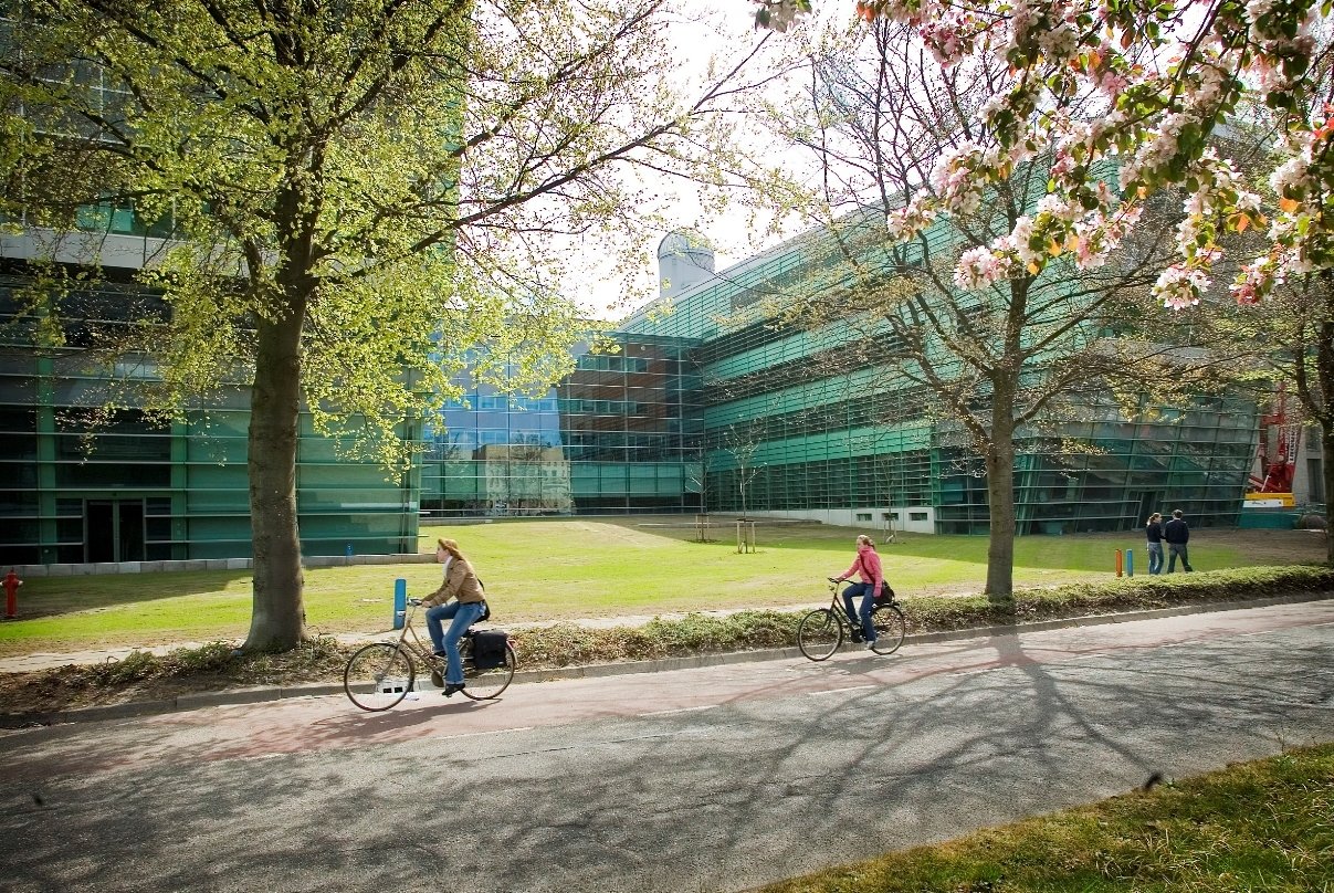Molecular Life Sciences (Radboud - Yüksek Lisans) Molecular Life Sciences (Radboud - Yüksek Lisans)