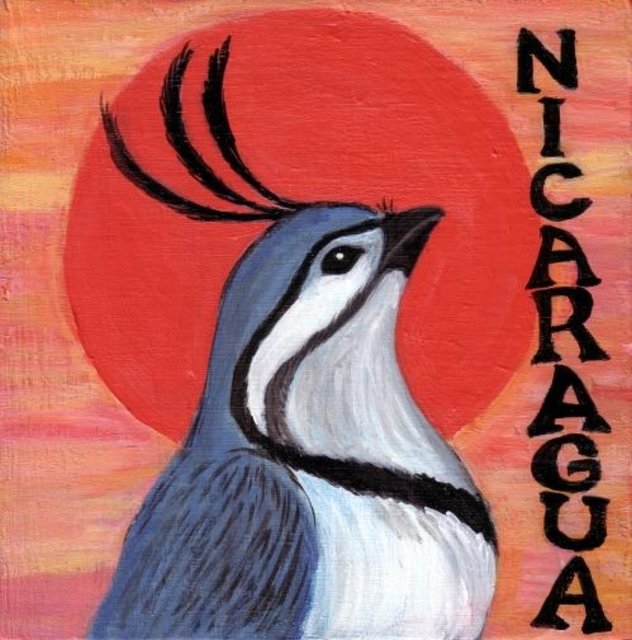 Nicaragua Los Congos (medium) Nicaragua Los Congos (medium)