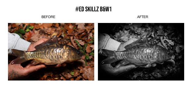 The Carpangler Pro Lightroom Presets by Ed Skillz Part 1
