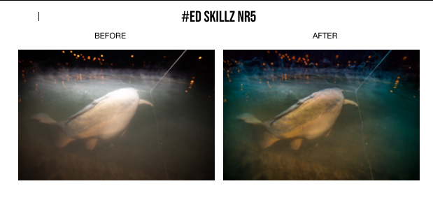 The Carpangler Pro Lightroom Presets by Ed Skillz Part 1