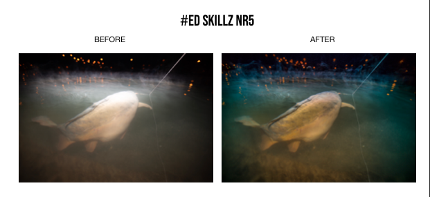 The Carpangler Pro Lightroom Presets by Ed Skillz Part 1