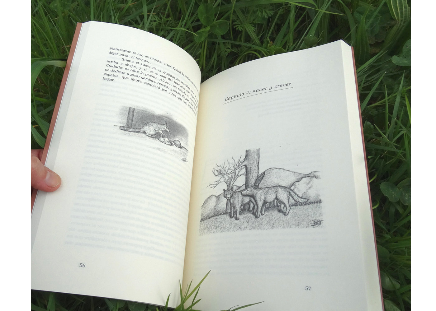 Libro "Yo Lobo. Tú... perro"