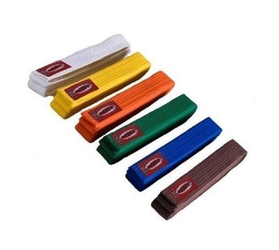 CINTO ARTES MARCIAIS NKL INFANTIL CORES