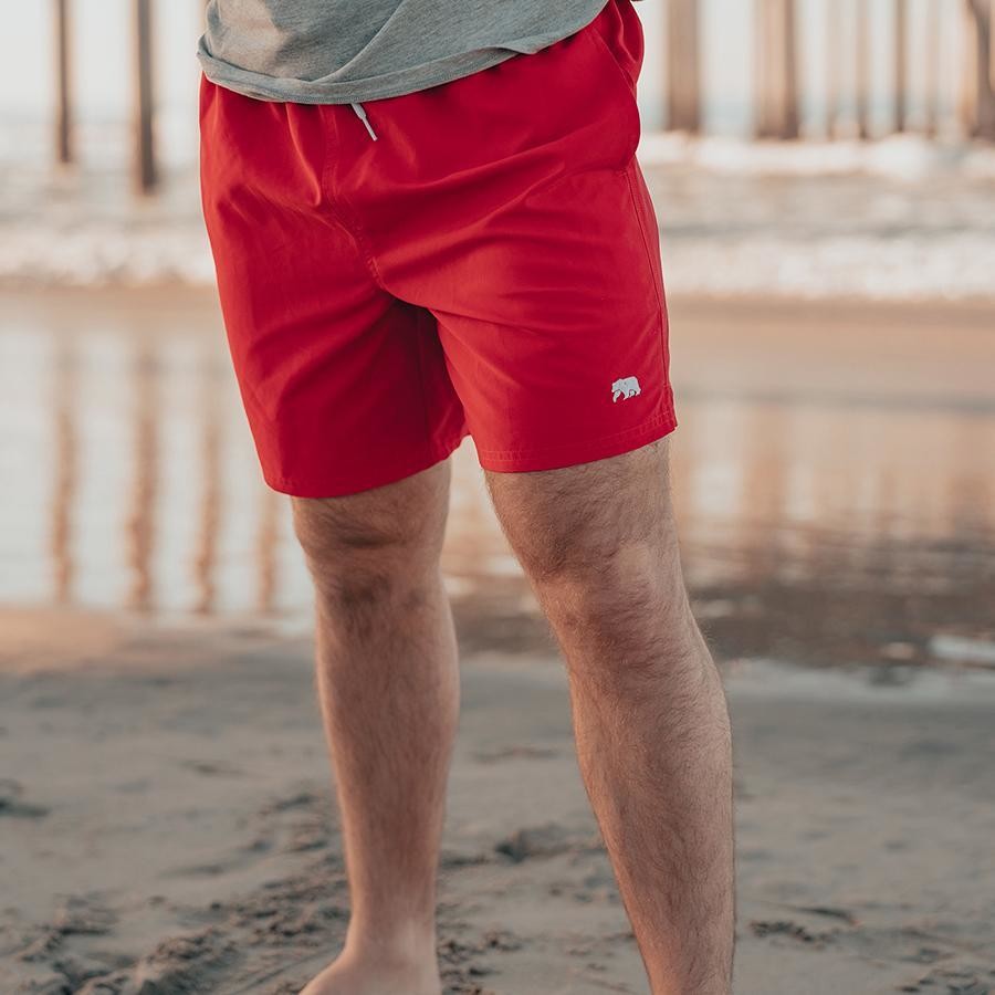 normal brand swim trunks