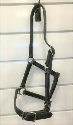 Halter: Leather Nose Buckle- Pony Size Halter: Leather Nose Buckle- Pony Size