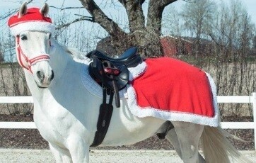 Christmas Set for Large Pony and Horse Christmas Set for Large Pony and Horse