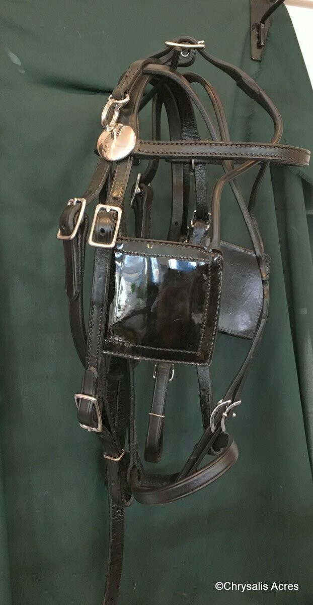 Driving Bridle Square Blinkers Chrysalis Acres Equipment for the