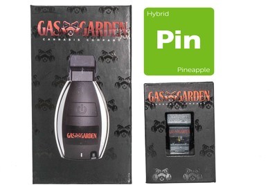 Pineapple (Hybrid) Vape Pod Kit By Gas Garden Pineapple (Hybrid) Vape Pod Kit By Gas Garden