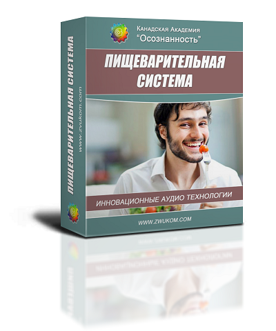 Аудио настрой по оздоровлению "Пищеварительная система" (программа для мужчин) 00037
