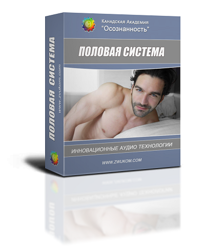 Аудио настрой по оздоровлению "Половая система" (программа для мужчин) 00038