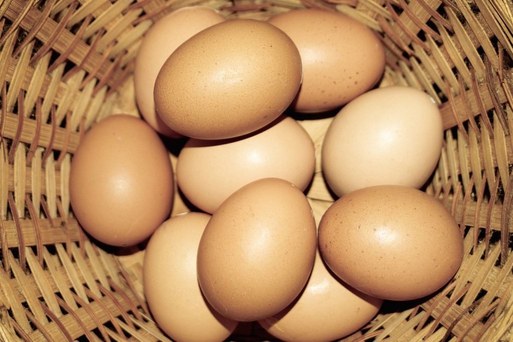 Farm Fresh Eggs P-E18-0000