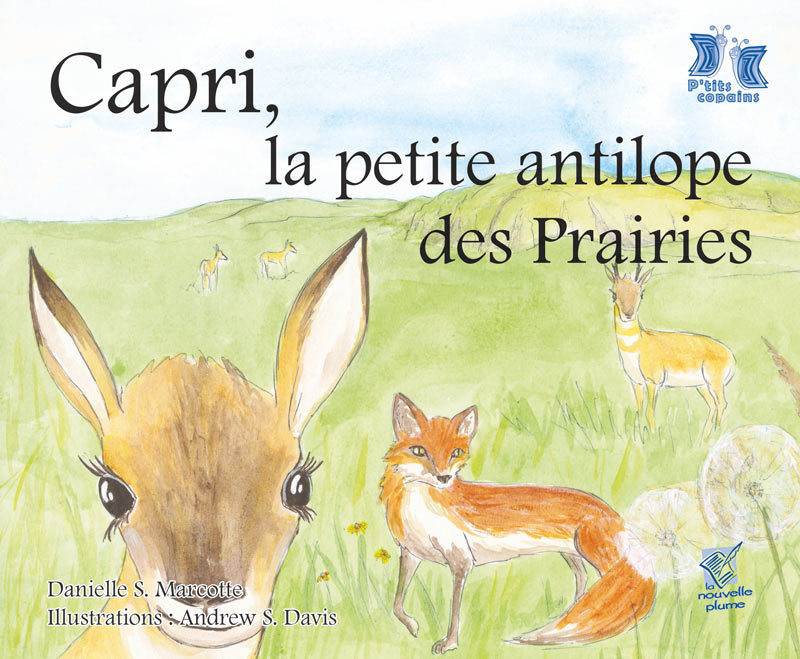 Capri, la petite antilope des Prairies Capri, la petite antilope des Prairies