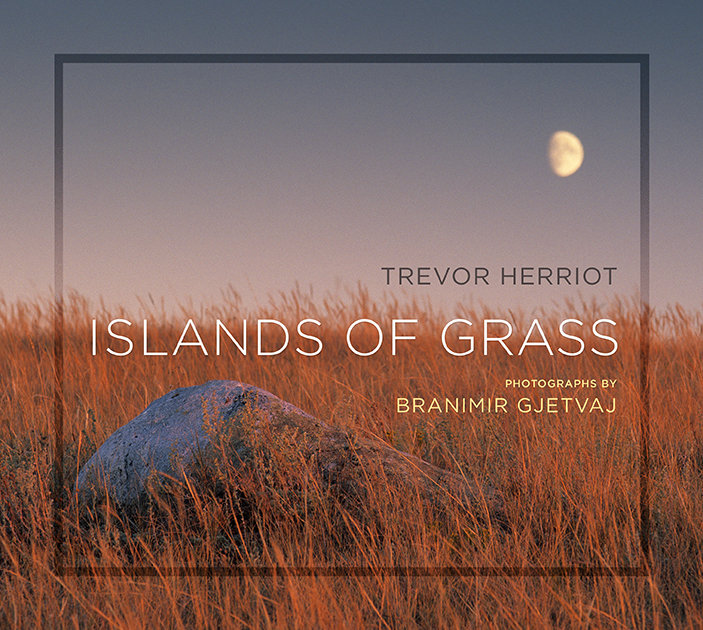 Islands of Grass Islands of Grass