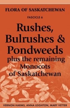 Rushes, Bulrushes & Pondweeds: Plus the Remaining Monocots of Saskatchewan 00001670