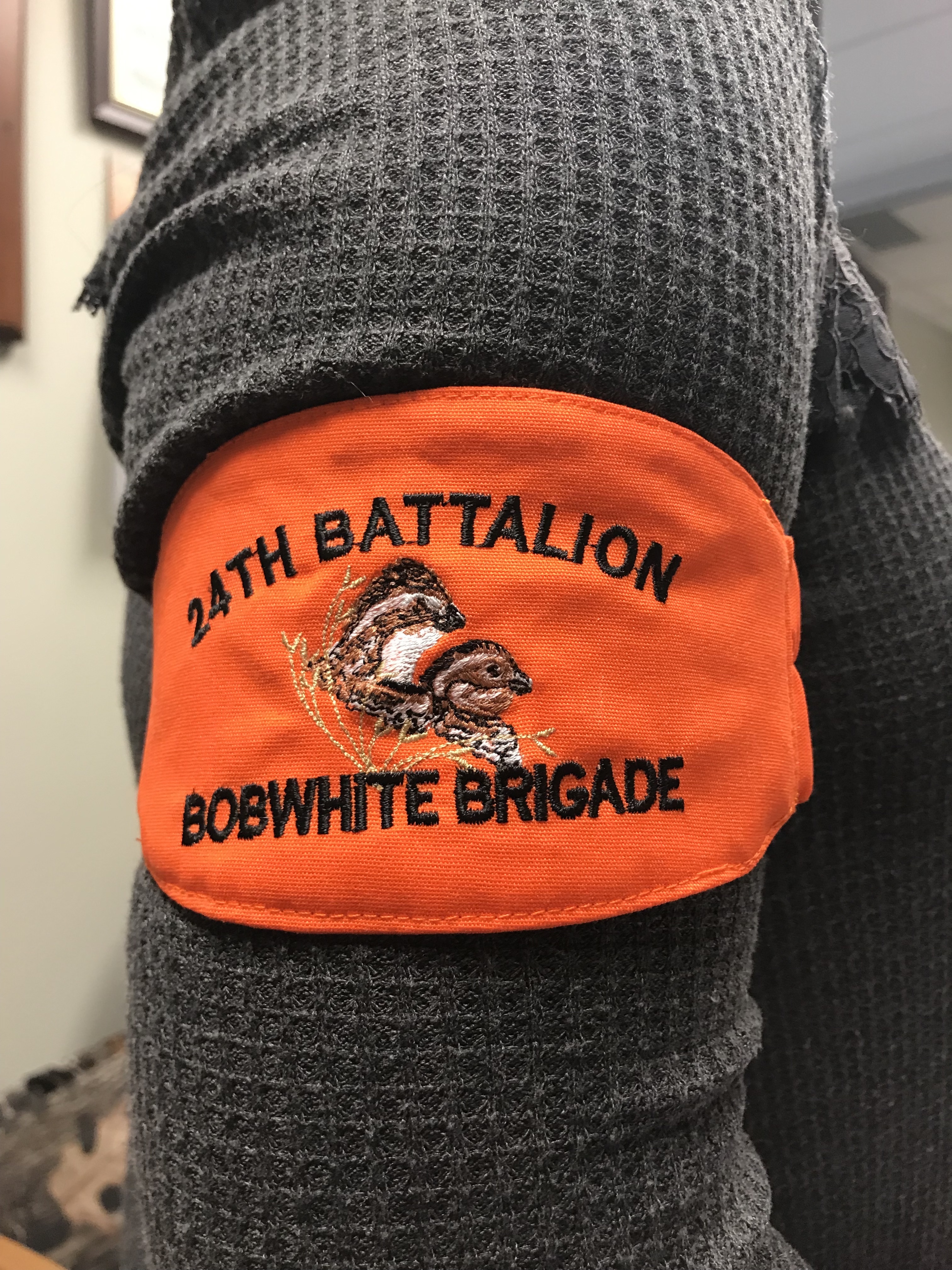 Rolling Plains Bobwhite Brigade 24th Battalion Arm Band