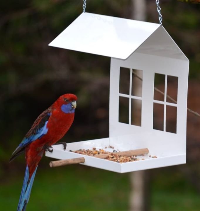 Bird Feeder White