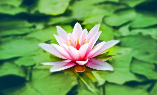 Loving Kindness Meditation (2-page PDF) 00005
