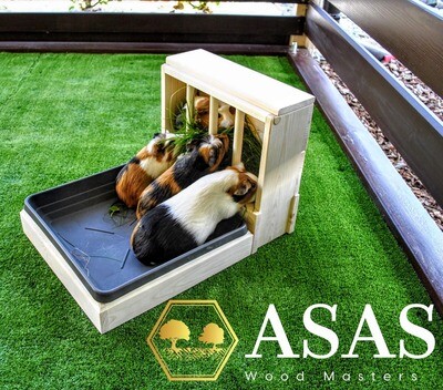 Choose Handmade Unique Wooden Products For Your Small Pet