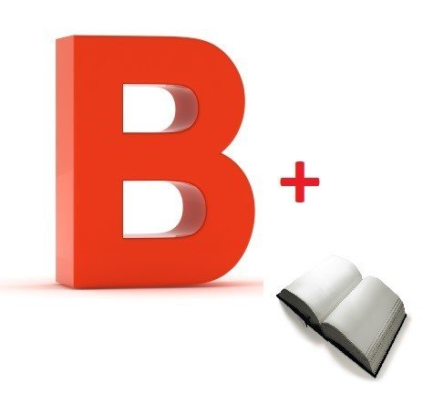 Test online permiso de conducir B + temario T+T