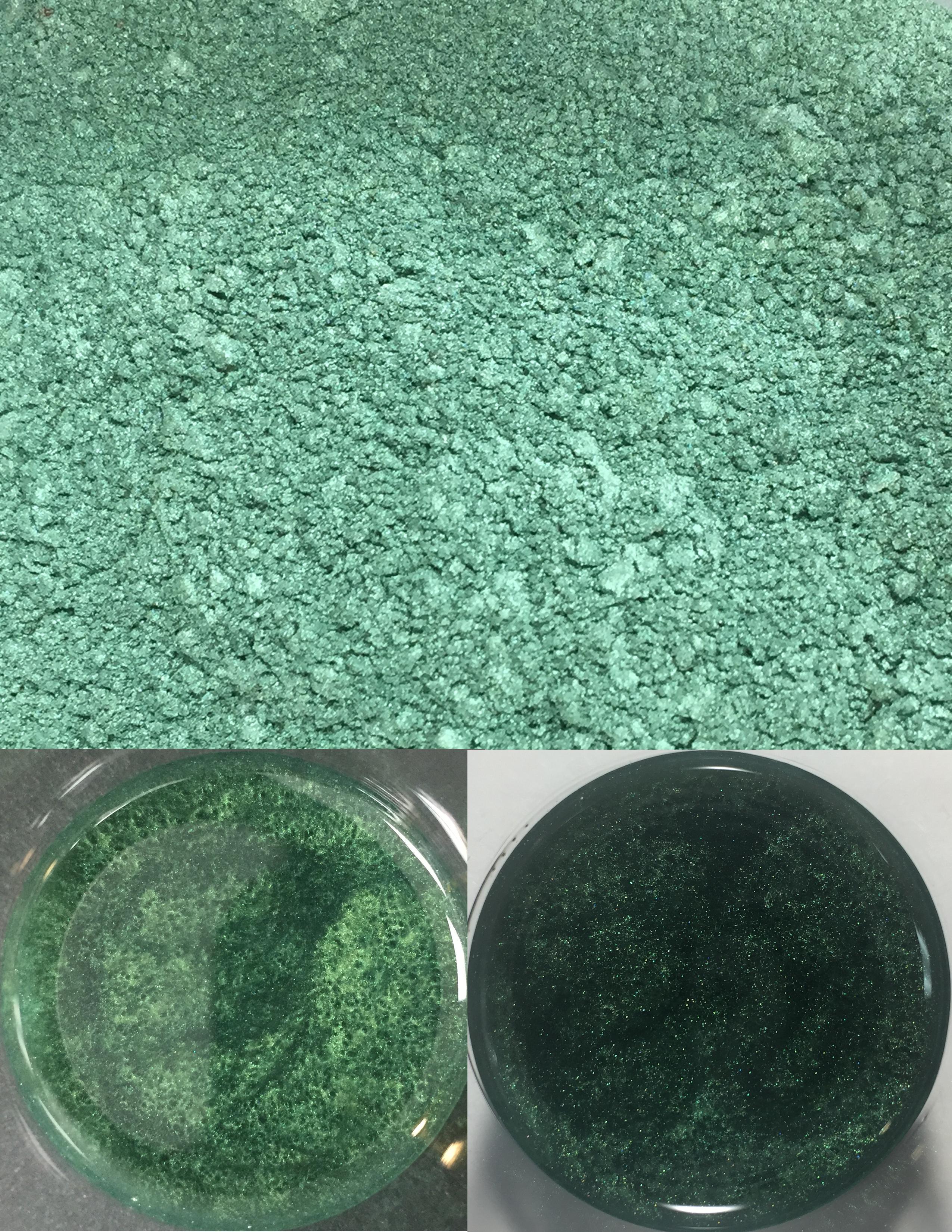 metallic pigments forest green/pigments métalliques vert forêt 00029
