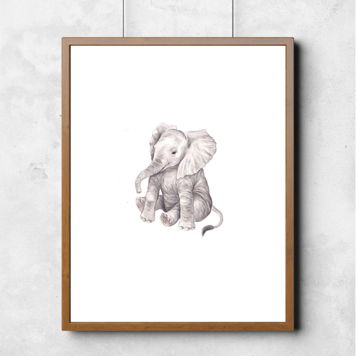 Baby Elephant 00006