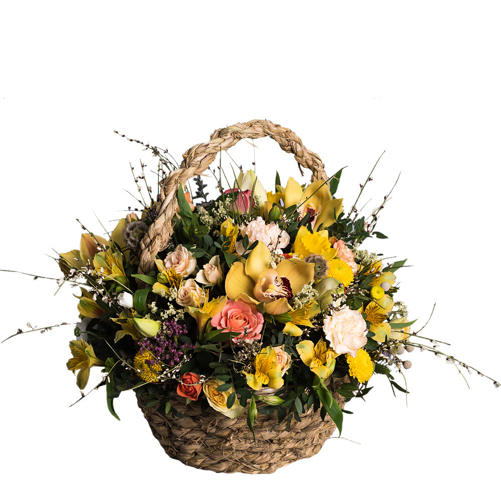 Южное сафари 00005