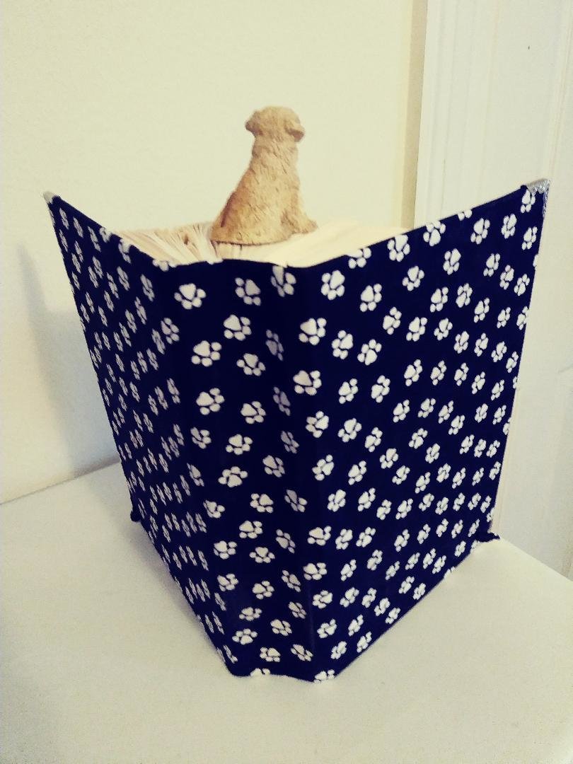 D paw V cover