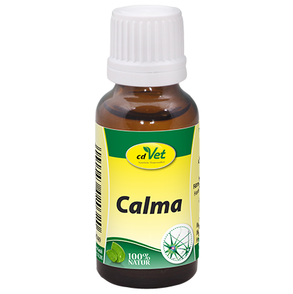 cdVET Calma 00028