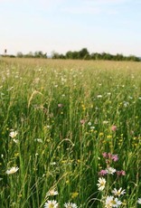 Bio Heucobs Semhof: wieder lieferbar ab KW 24 00382