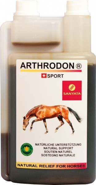 Arthrodon Gelenke 00186