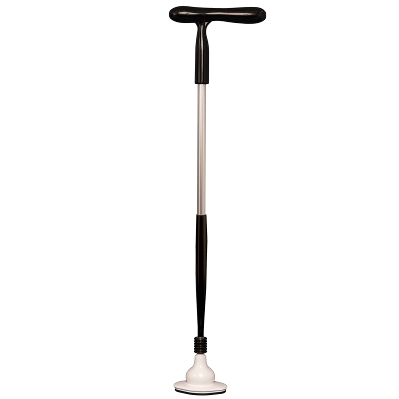 32″ iStand Cane – Preorder 00000
