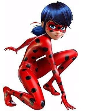 Miraculous Lady Bug Cape and Mask Set