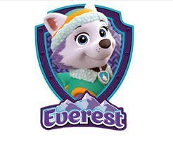 Traindrops Paw Patrol Dress Up Cape and Mask Set
