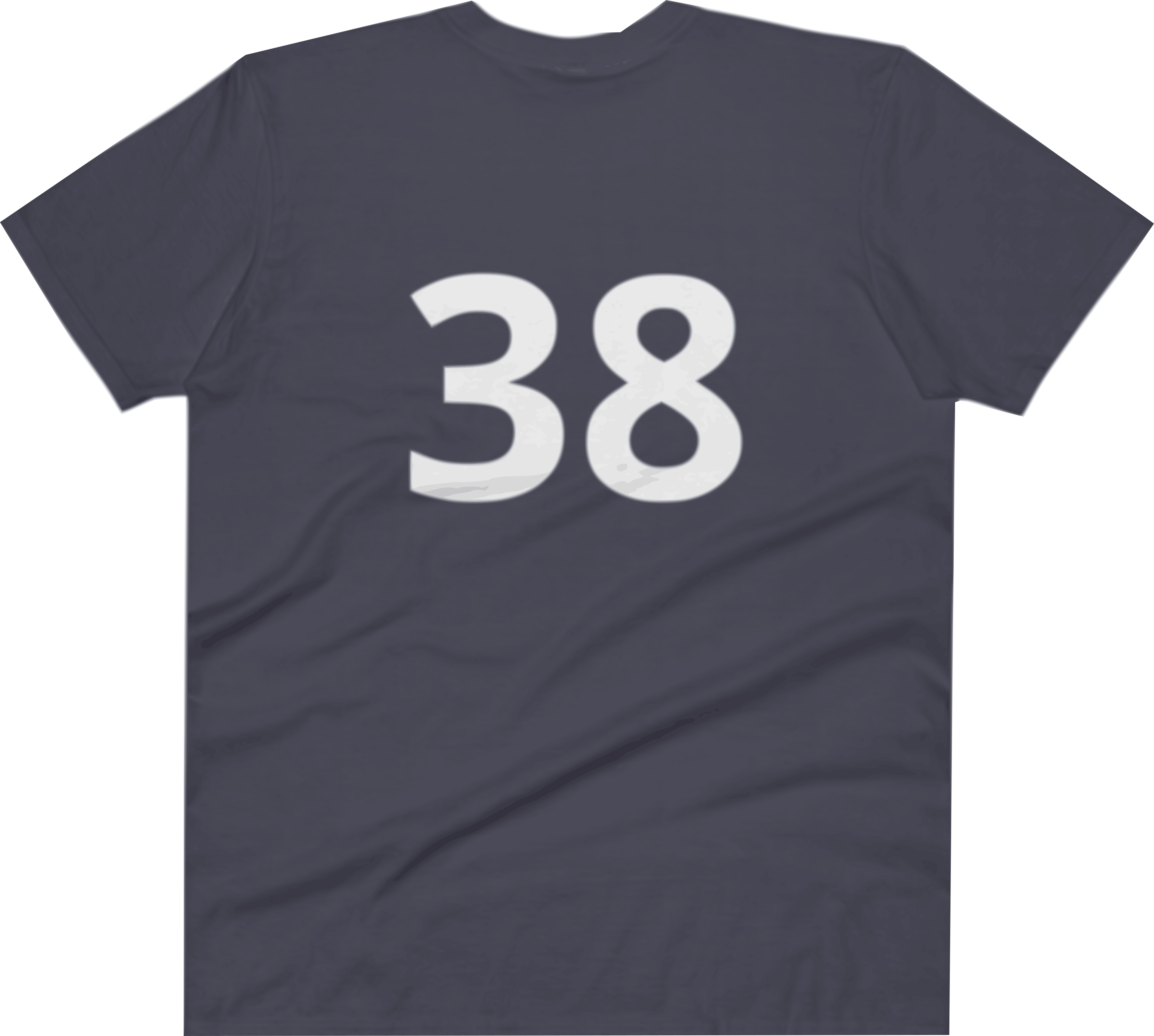 Anvil 982 Lightweight Fashion V-Neck T-Shirt with Tear Away Label 00156