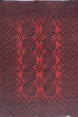 Turkoman 240 x 158 cm