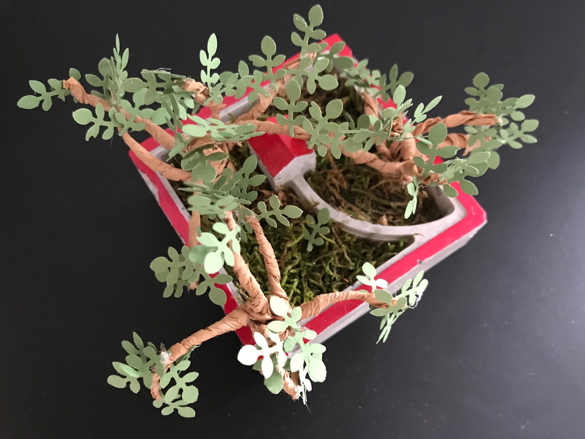 Atelier Jardin miniature en papier - Jeudi 10 janvier - de 20h à 22h. 00005