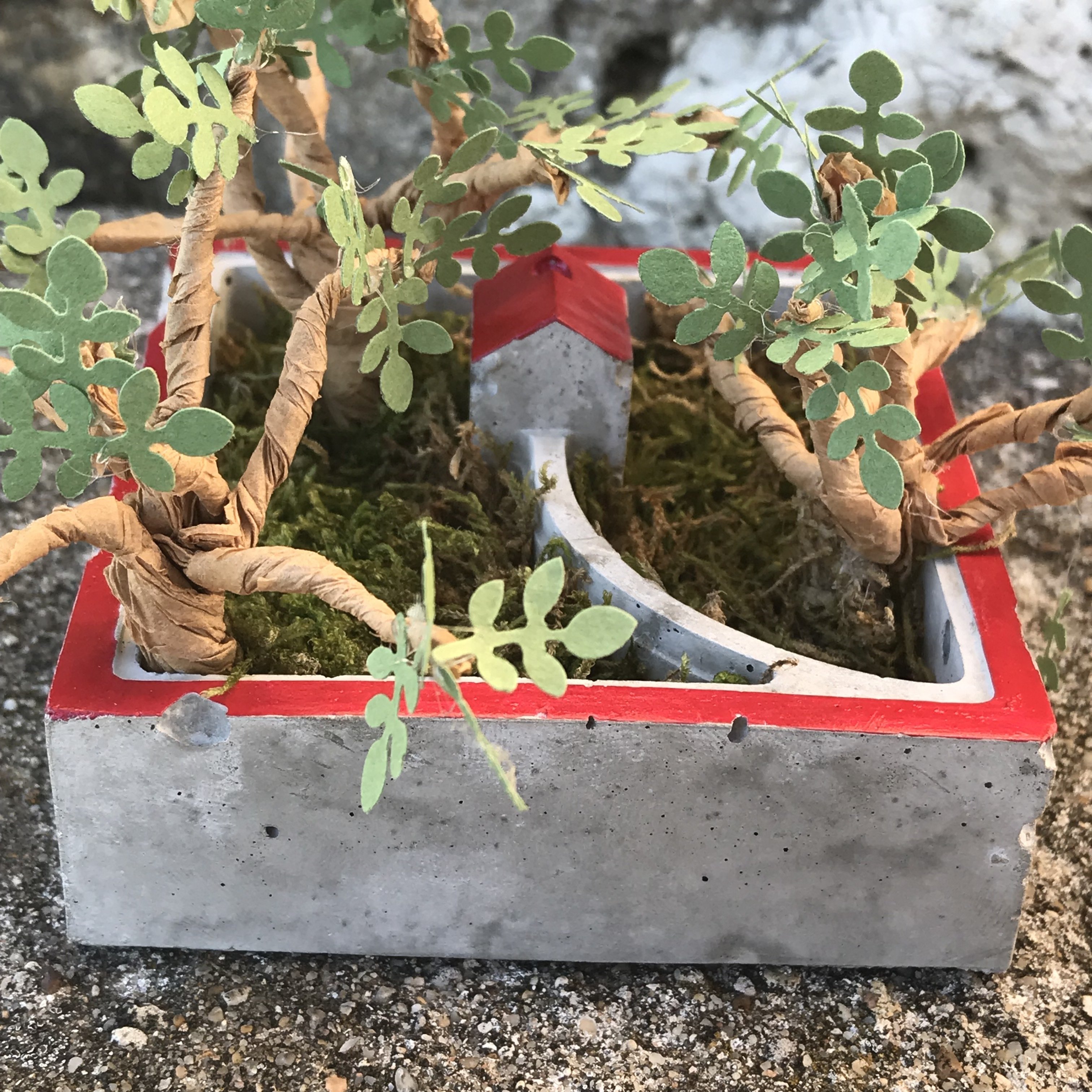 Atelier Jardin miniature en papier - Jeudi 10 janvier - de 20h à 22h.
