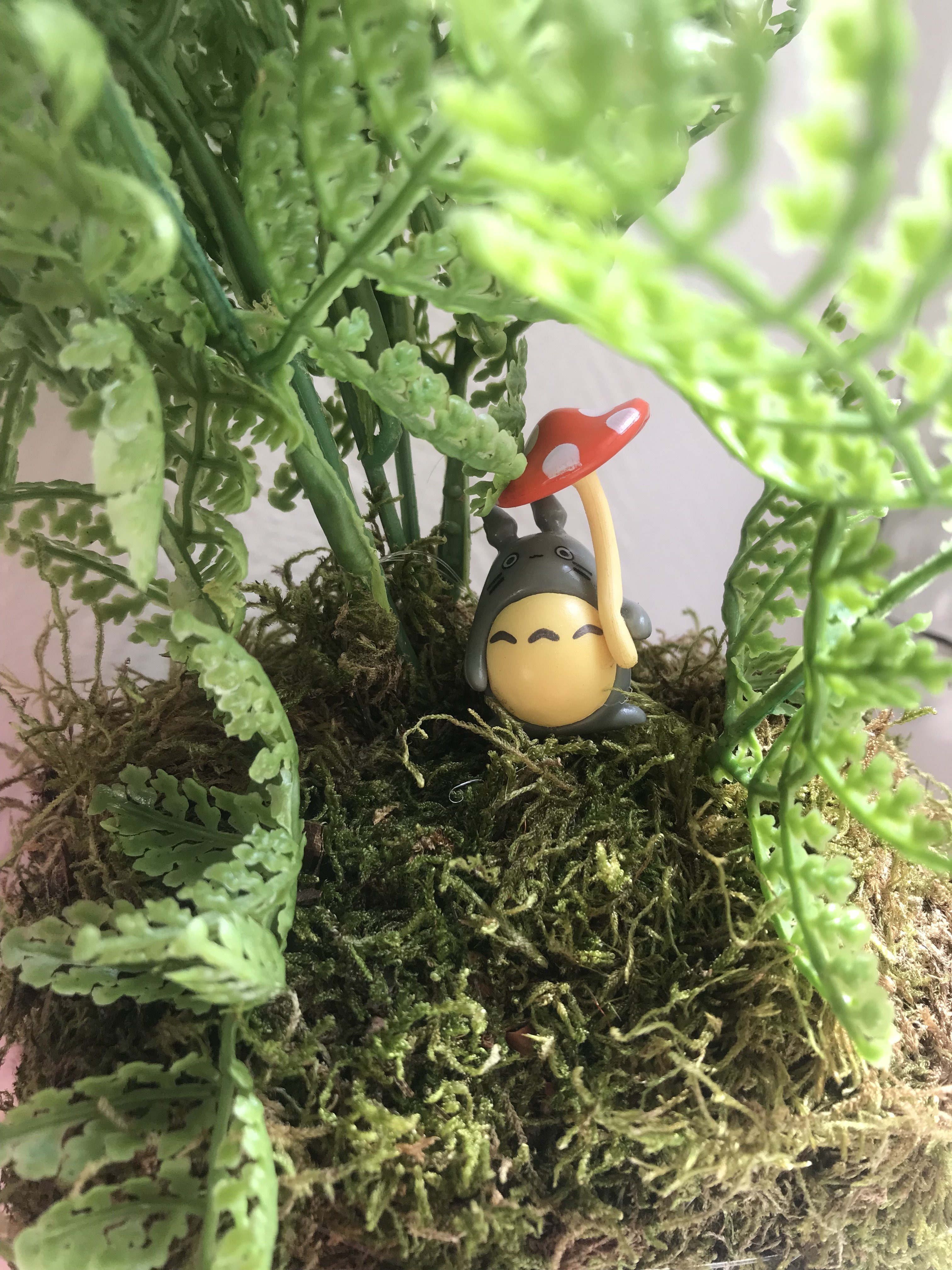Atelier Kokedama artificiel - Samedi 26 janvier- de 10h à 12h