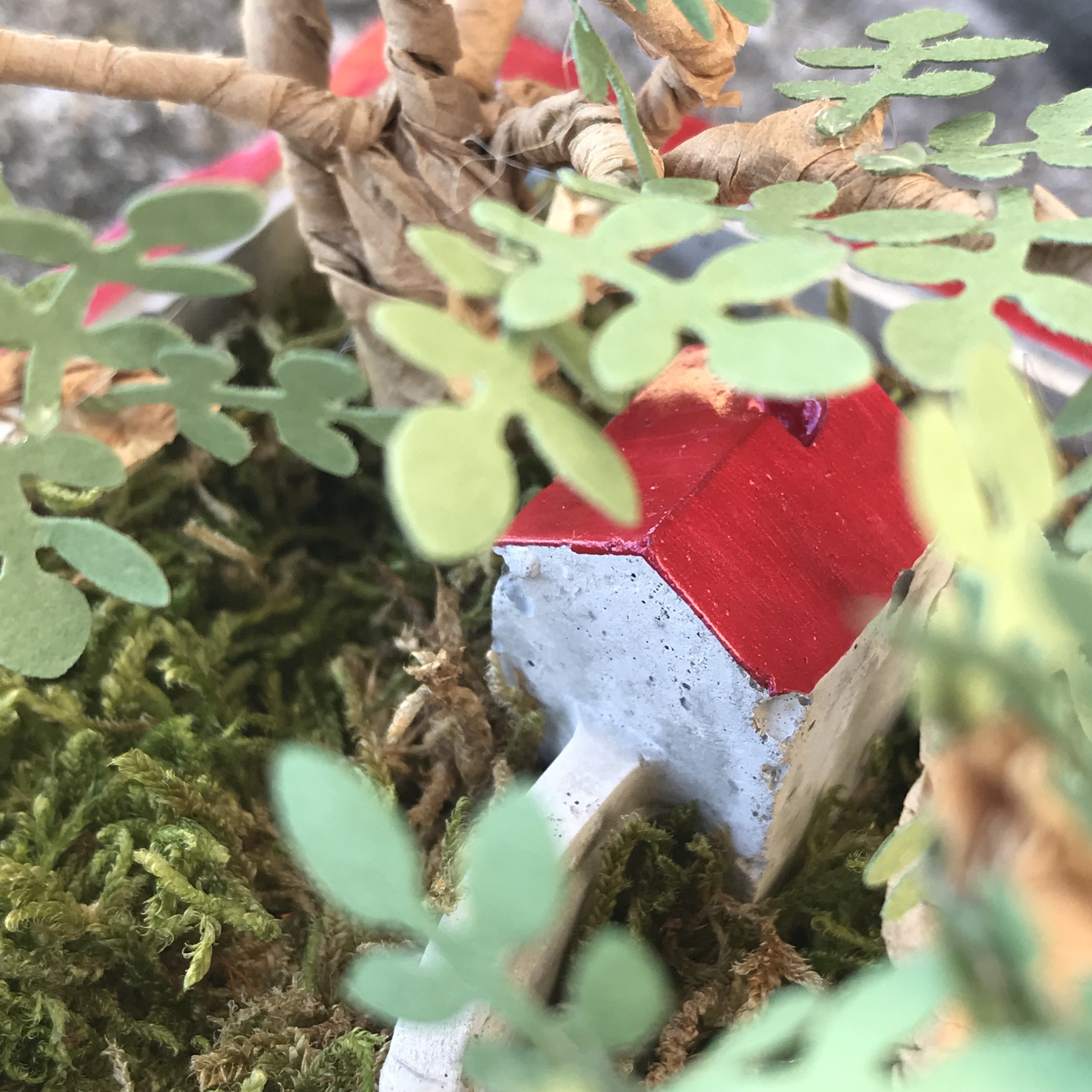 Atelier jardin miniature - Jeudi 11 octobre - de 20h à 22h 00007