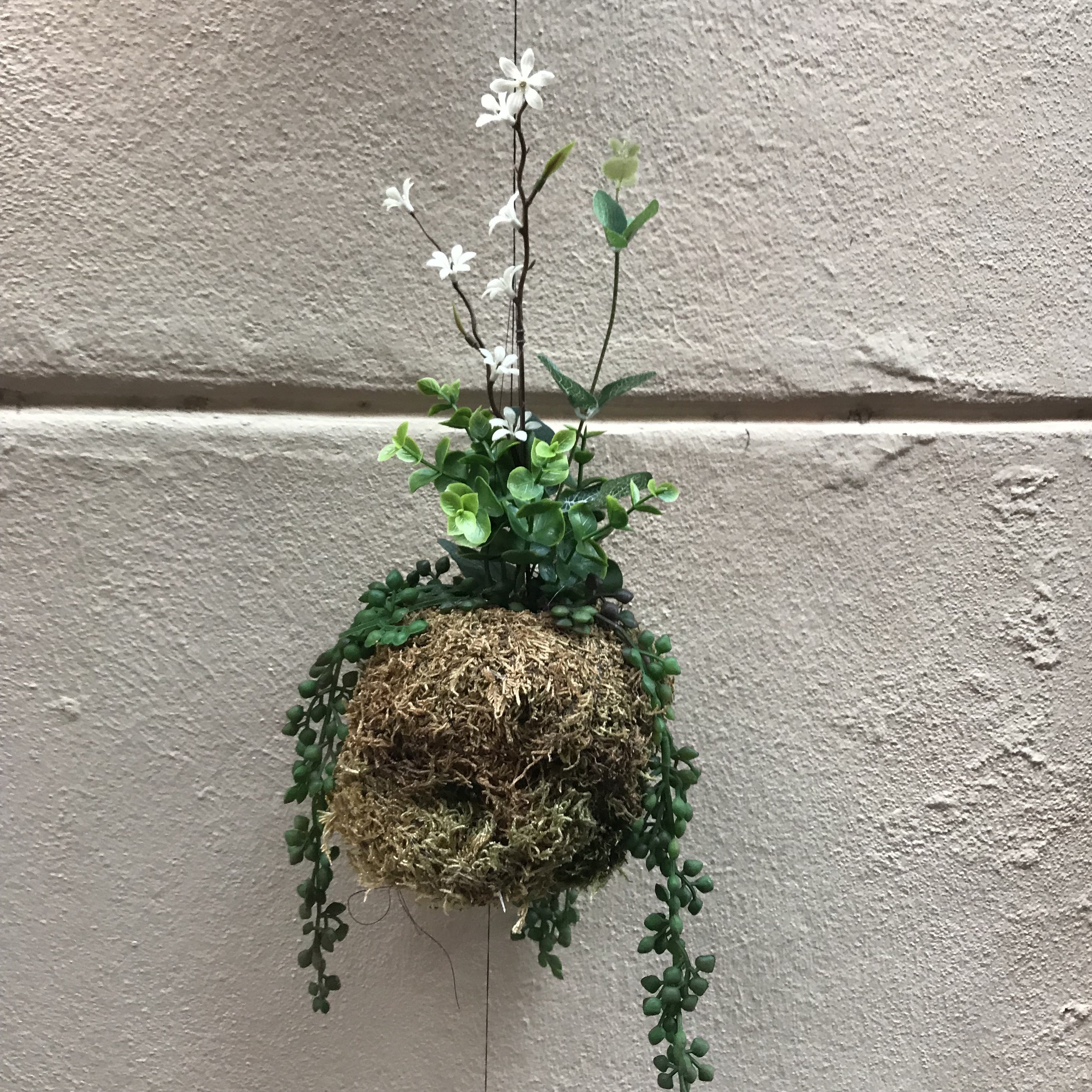 Atelier Kokedama artificiel - Samedi 26 janvier- de 10h à 12h 00006