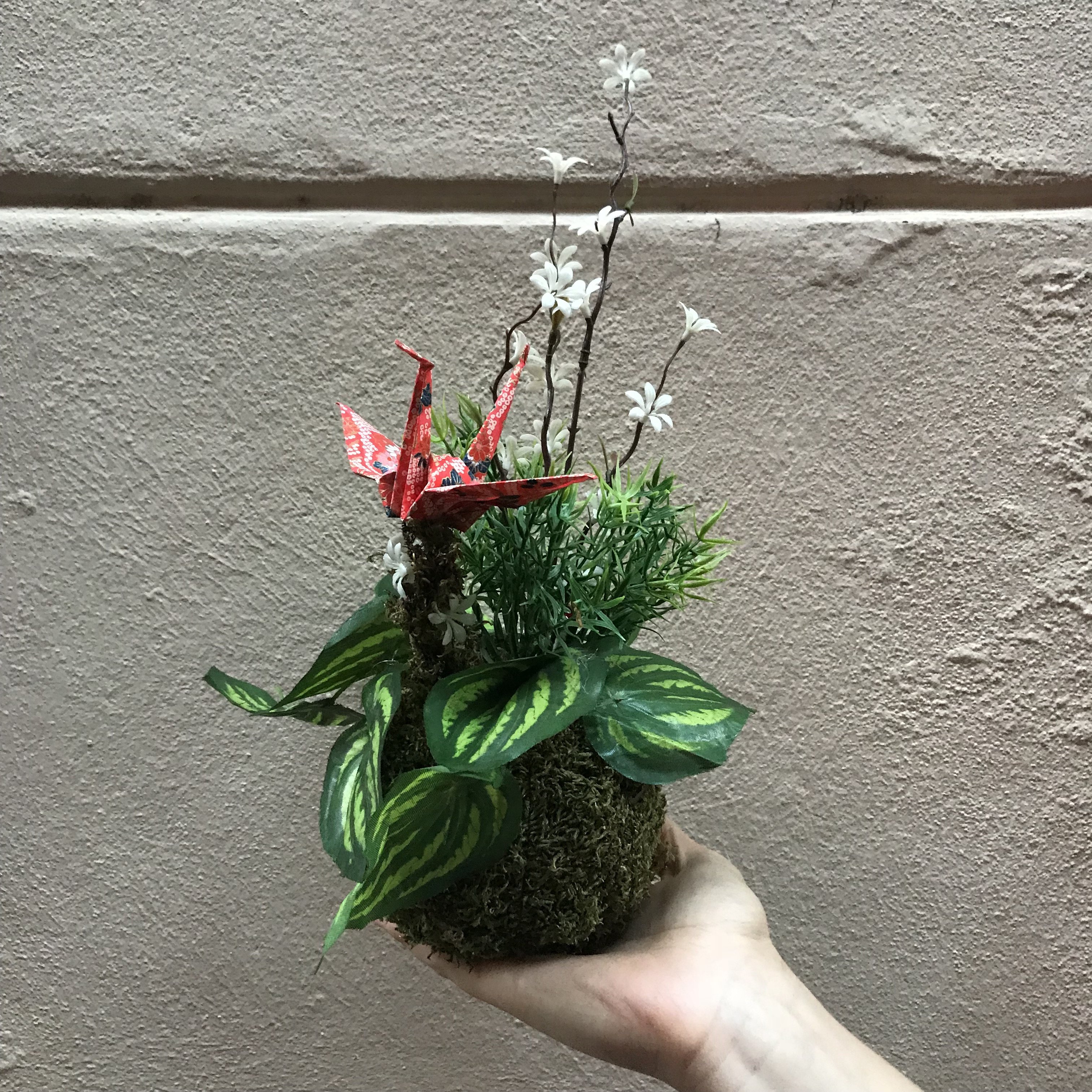 Atelier Kokedama artificiel - Samedi 26 janvier- de 10h à 12h