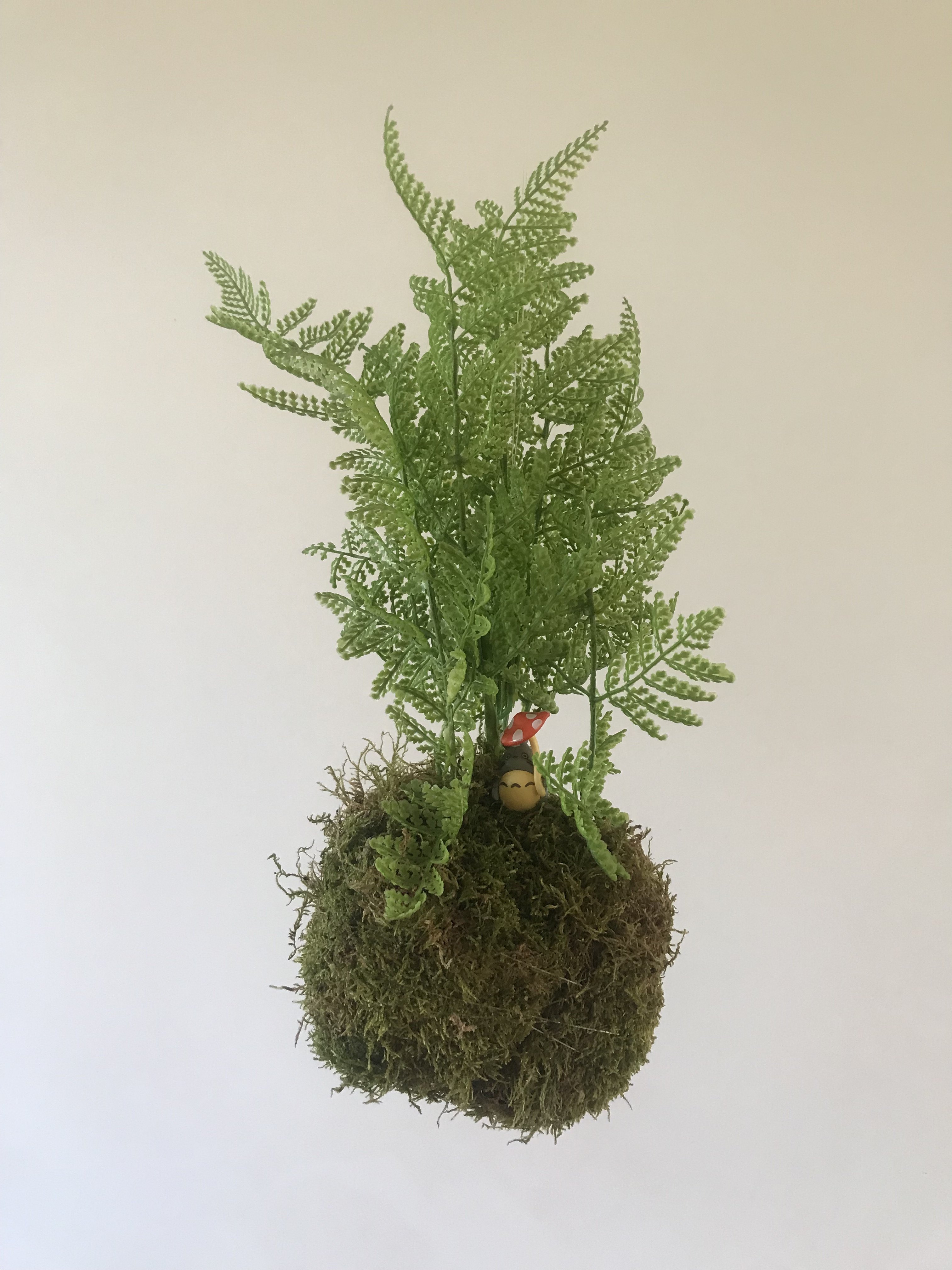 Atelier Kokedama artificiel - Samedi 26 janvier- de 10h à 12h