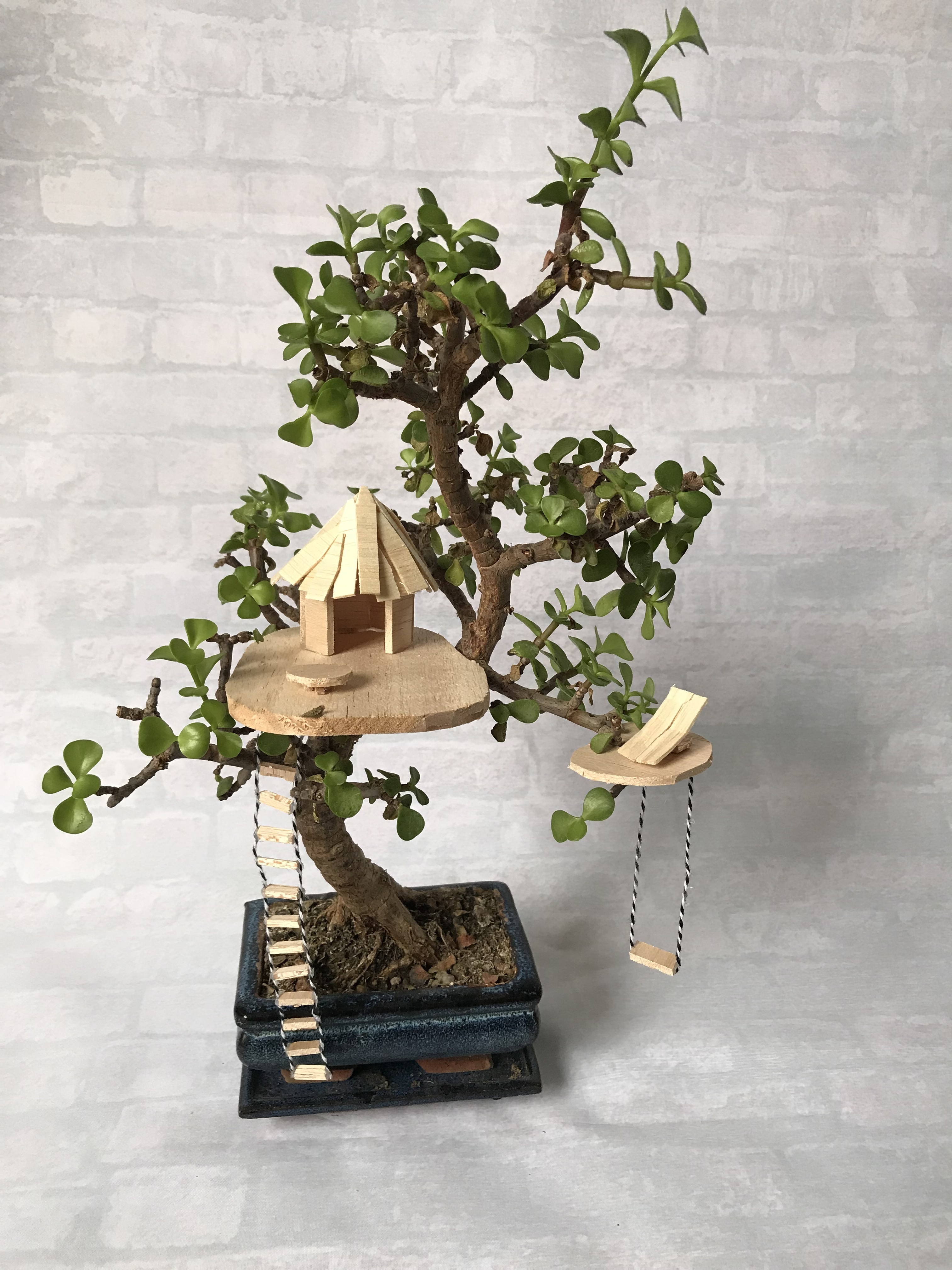 Atelier mini cabane dans les arbres - Samedi 2 février de 10h à 12h 00012