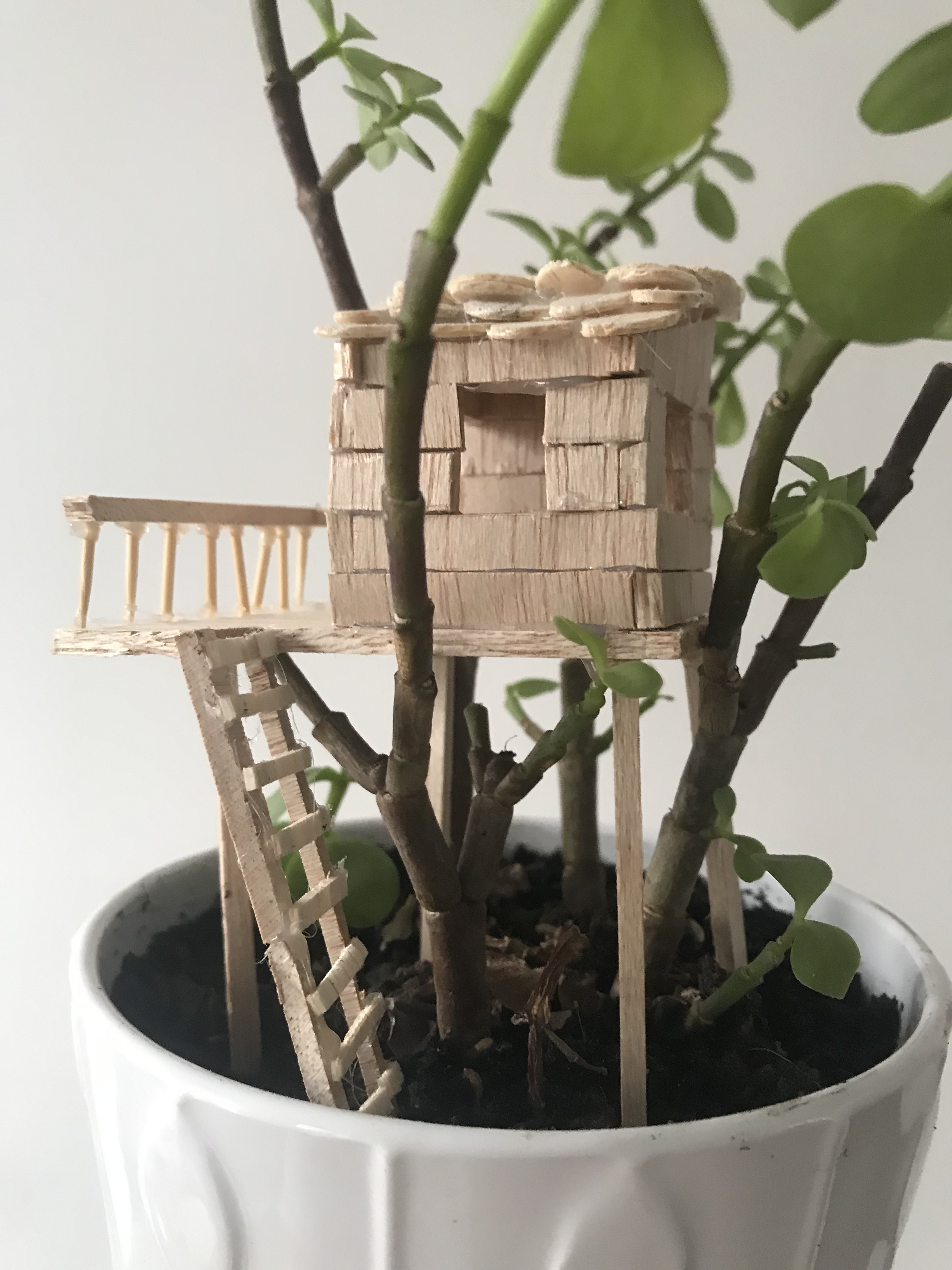Atelier mini cabane dans les arbres - Samedi 2 février de 10h à 12h