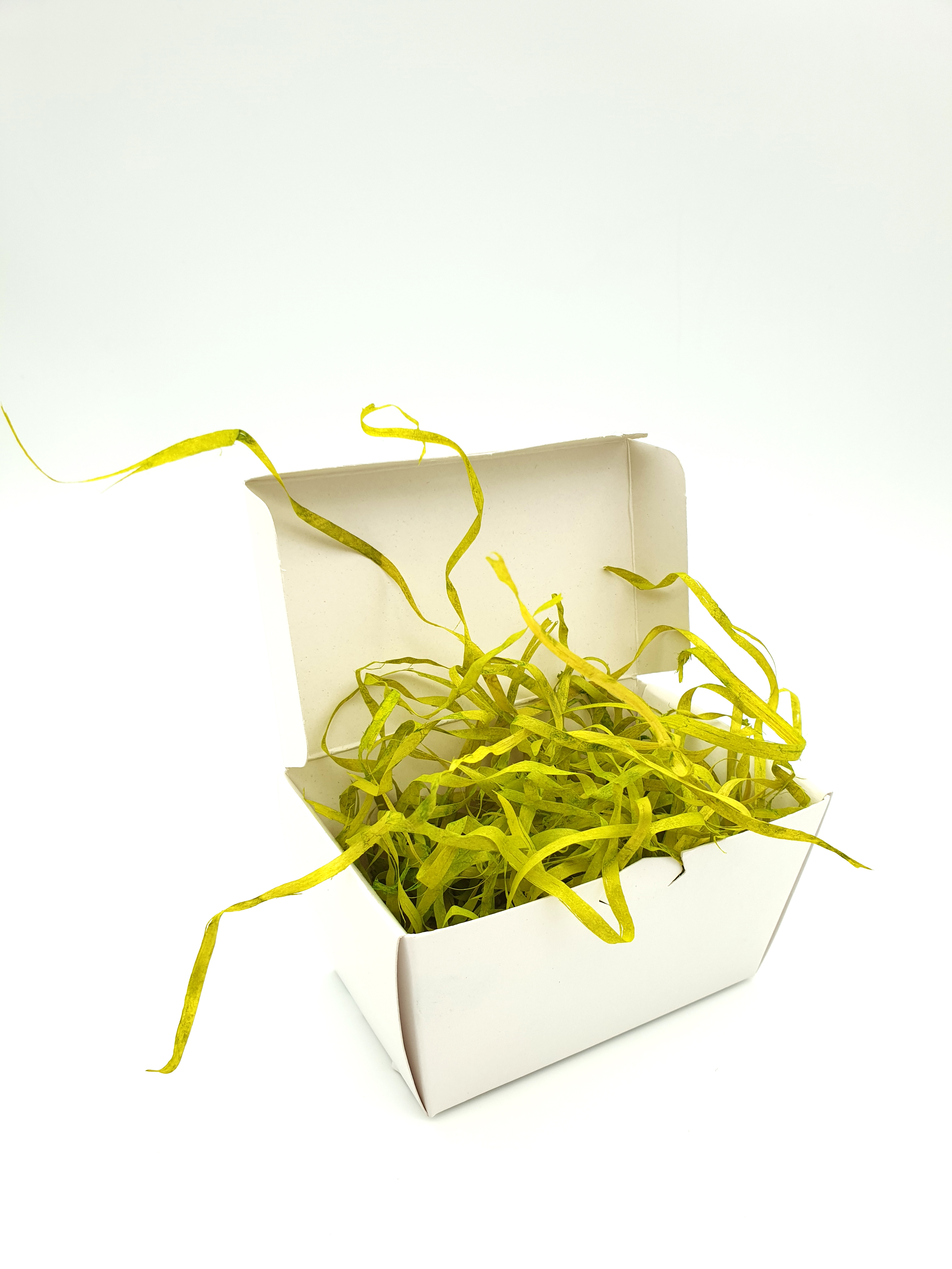 Wood Wool 100g Fine - Lime Green
