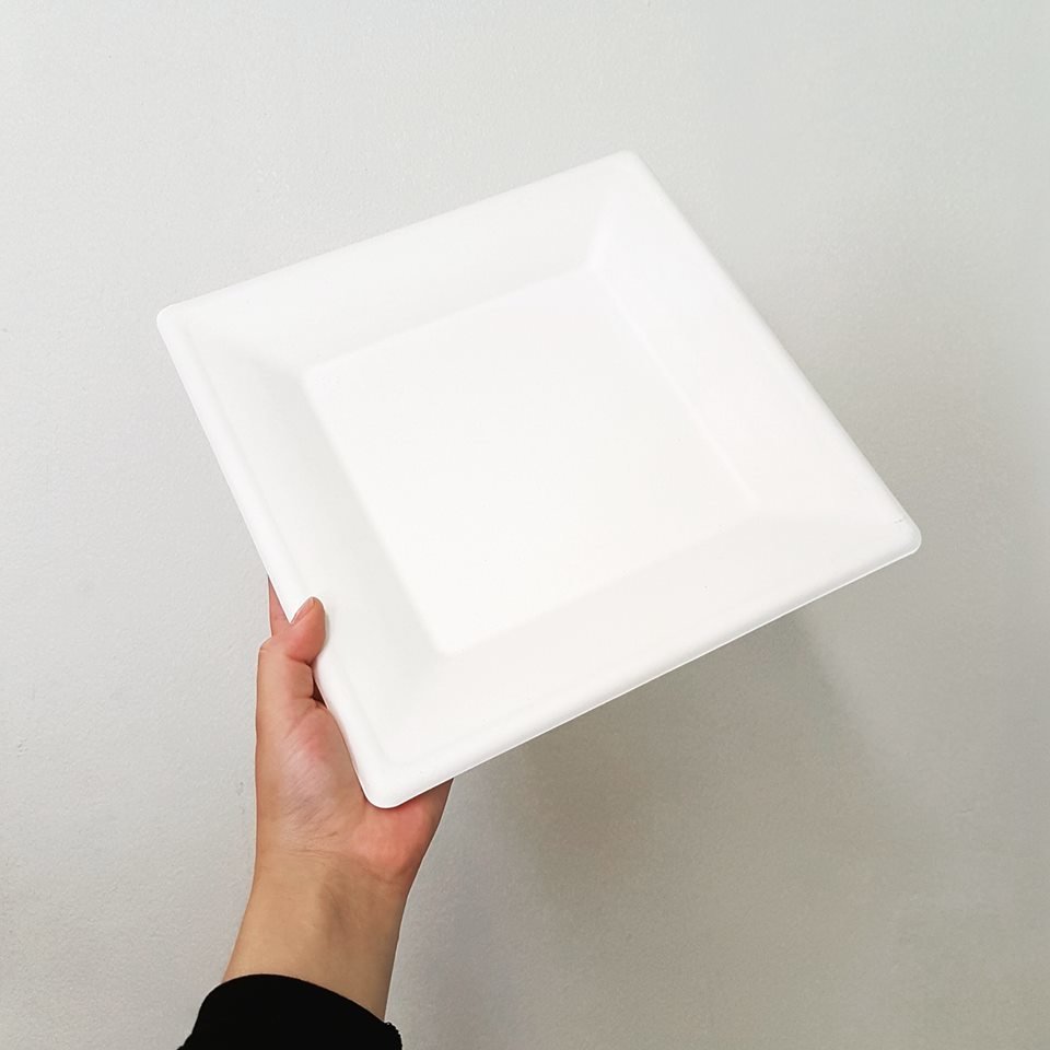 E - EcoWare Compostable Plate Square 26cm (Qty 50) BDG0156